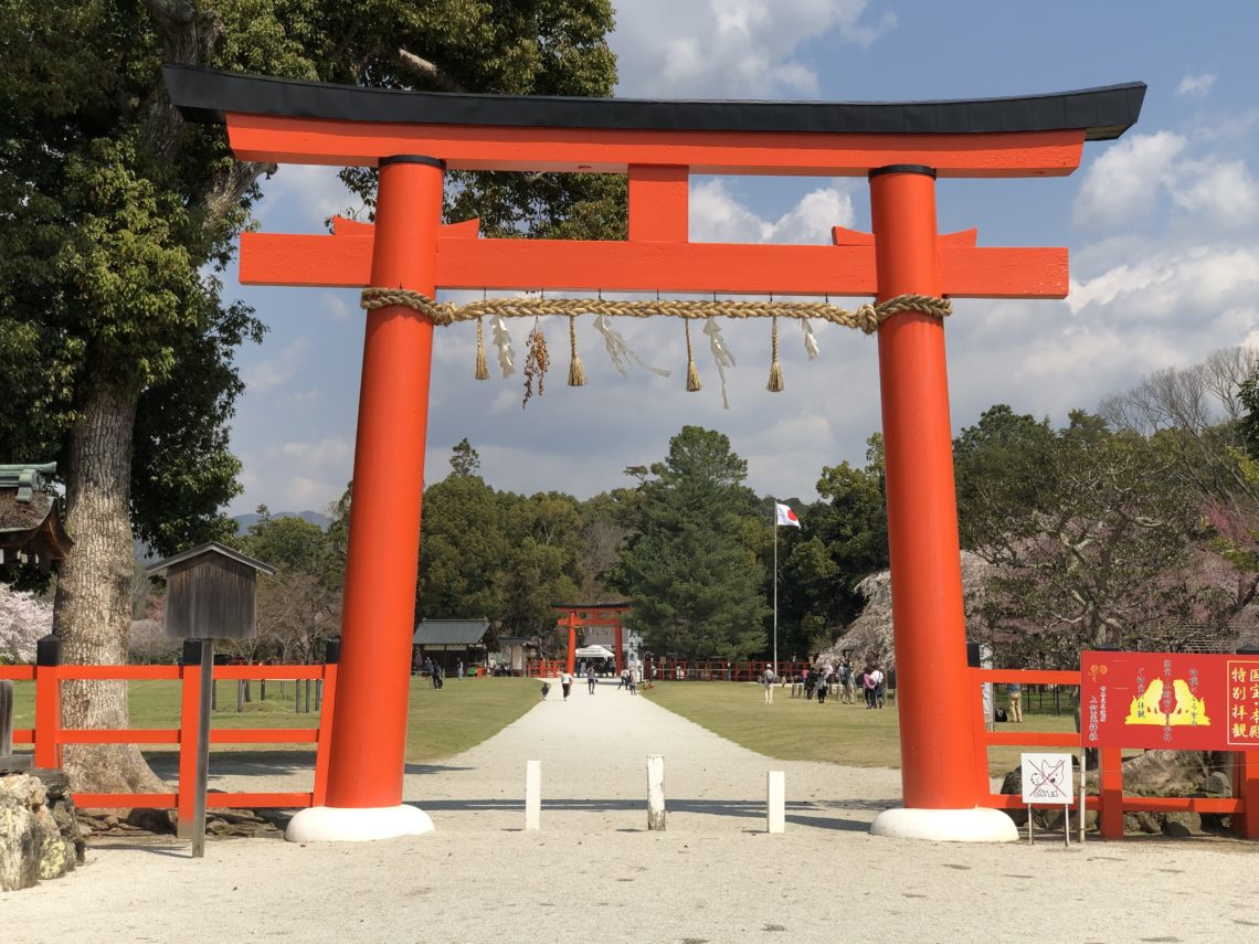 上賀茂神社 桜 手家転々 Mare Bello