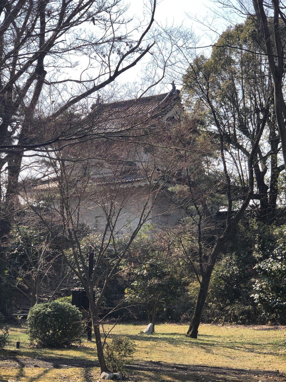 二条城 梅 手家転々 Mare Bello